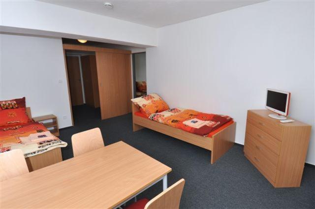 Sport Hotel Ticha Orlice Ústí nad Orlicí Oda fotoğraf